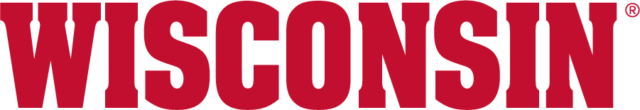 Wisconsin Badgers 2017-Pres Wordmark Logo t shirts iron on transfers